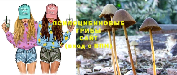 марихуана Каменногорск