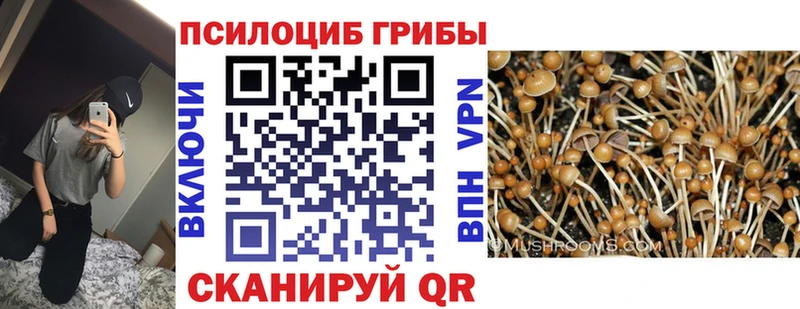 Купить закладки  Реутов  Галлюциногенные грибы прущие грибы 
